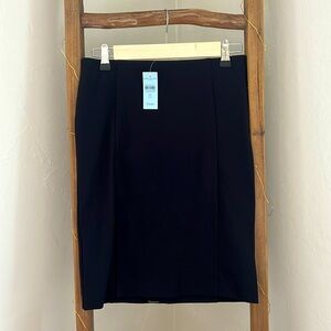 Ann Taylor Pencil Skirt XS